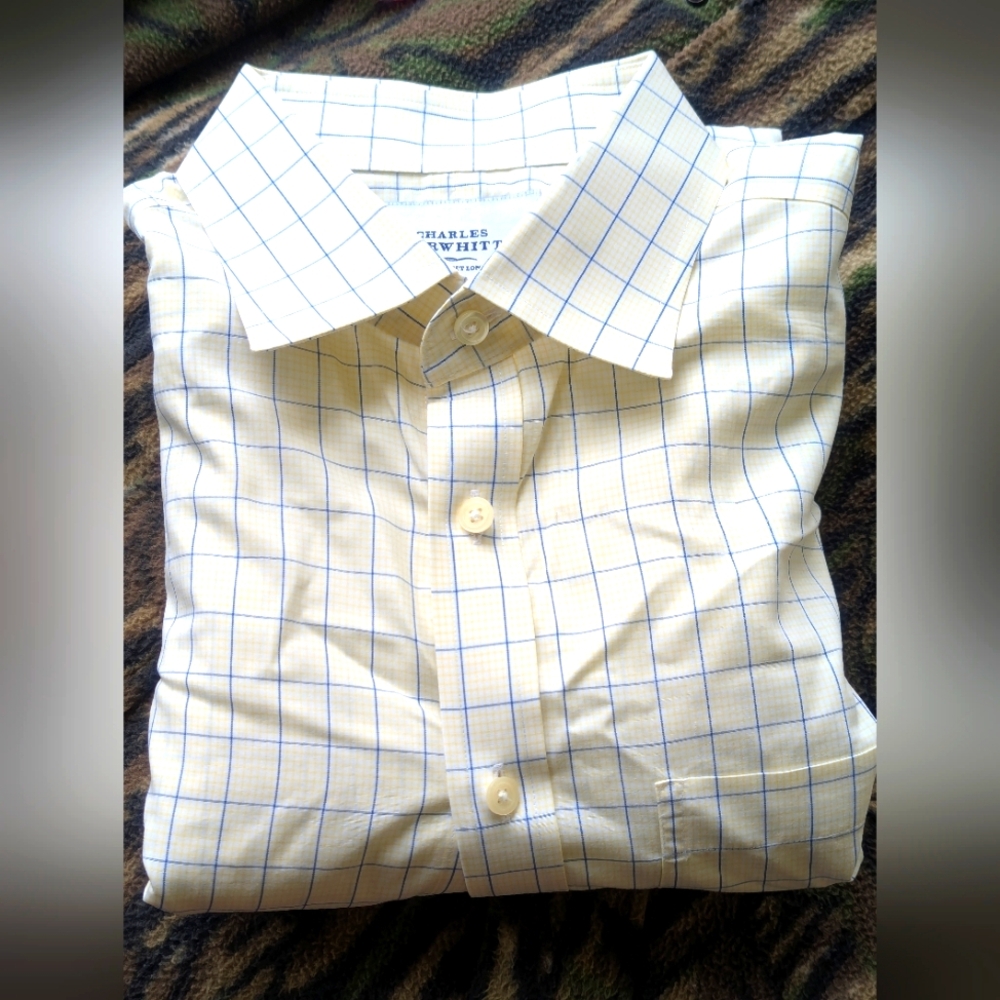 Charles Tyrwhitt Men's Blue Checkered Shirt
